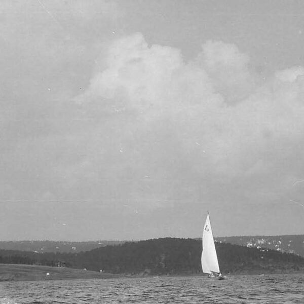 A sea scene with hills in the distance and a white sail visible of a distant yacht
