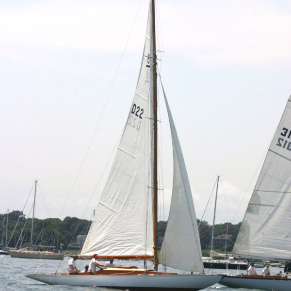 Yachts sailing