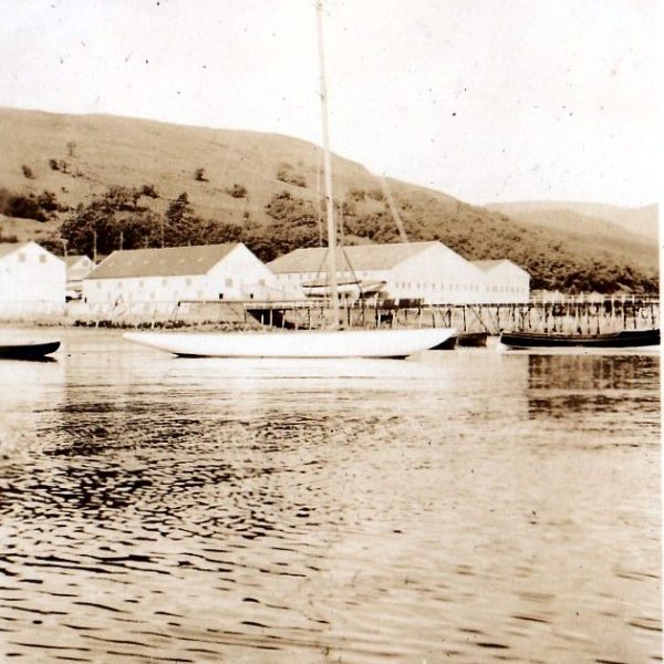 White hulled Six Metre sailing boat on a mooring. There are buildings and hills in the background.