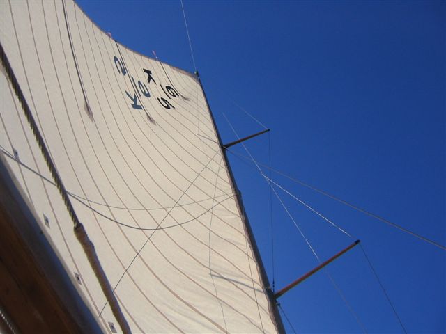 Colour photo of a white sail under a blue sky